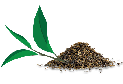 Miért egészséges ital a tea?